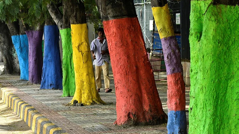 Tree Paint Tree Paint